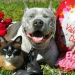 Happy Valentine’s Day!